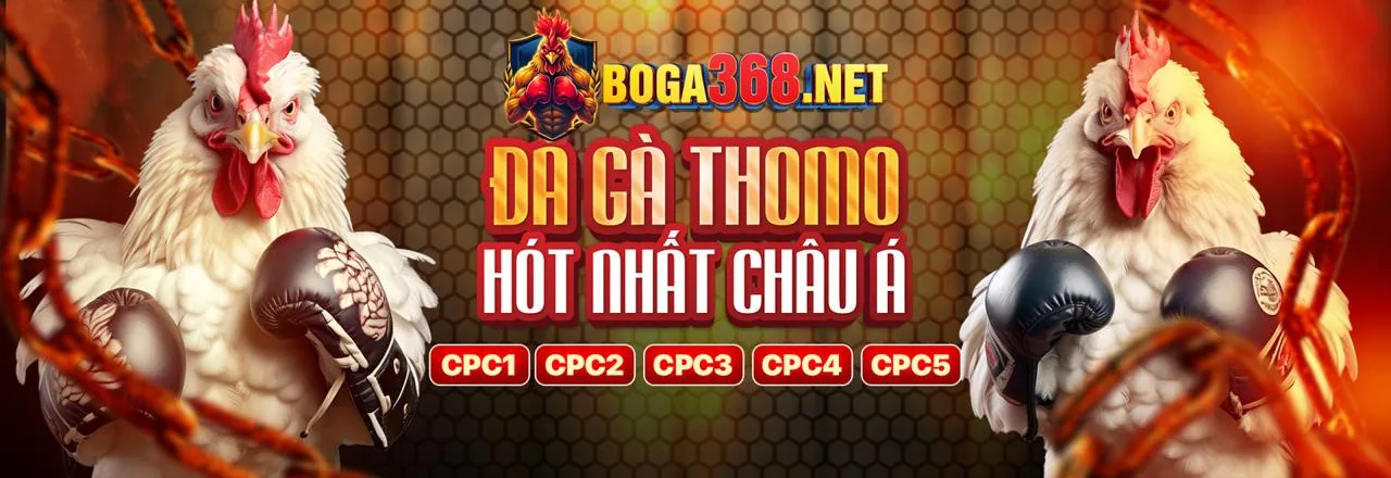 Ứng dụng ibet889 đăng nhập trên điện thoại