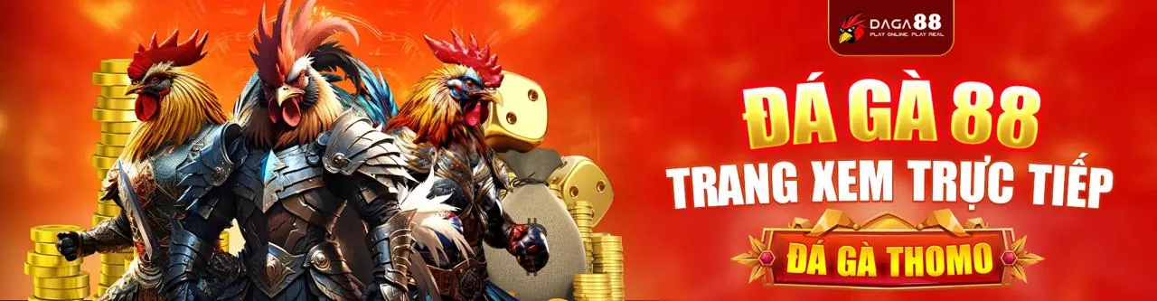 Đá Gà Trực Tuyến Sôi Động tại ibet889