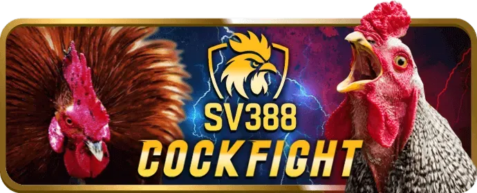Cá cược Đá gà ibet889